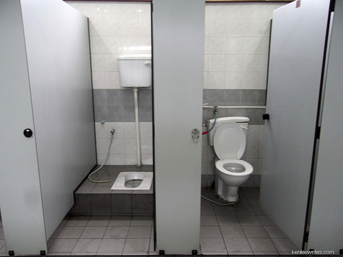 Salute: applicare la carta igienica sul water dei wc pubblici è dannoso