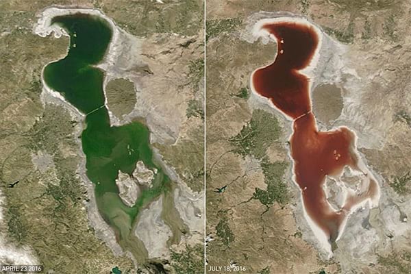 Iran: il lago Urmia si colora di rosso sangue, immagini shock