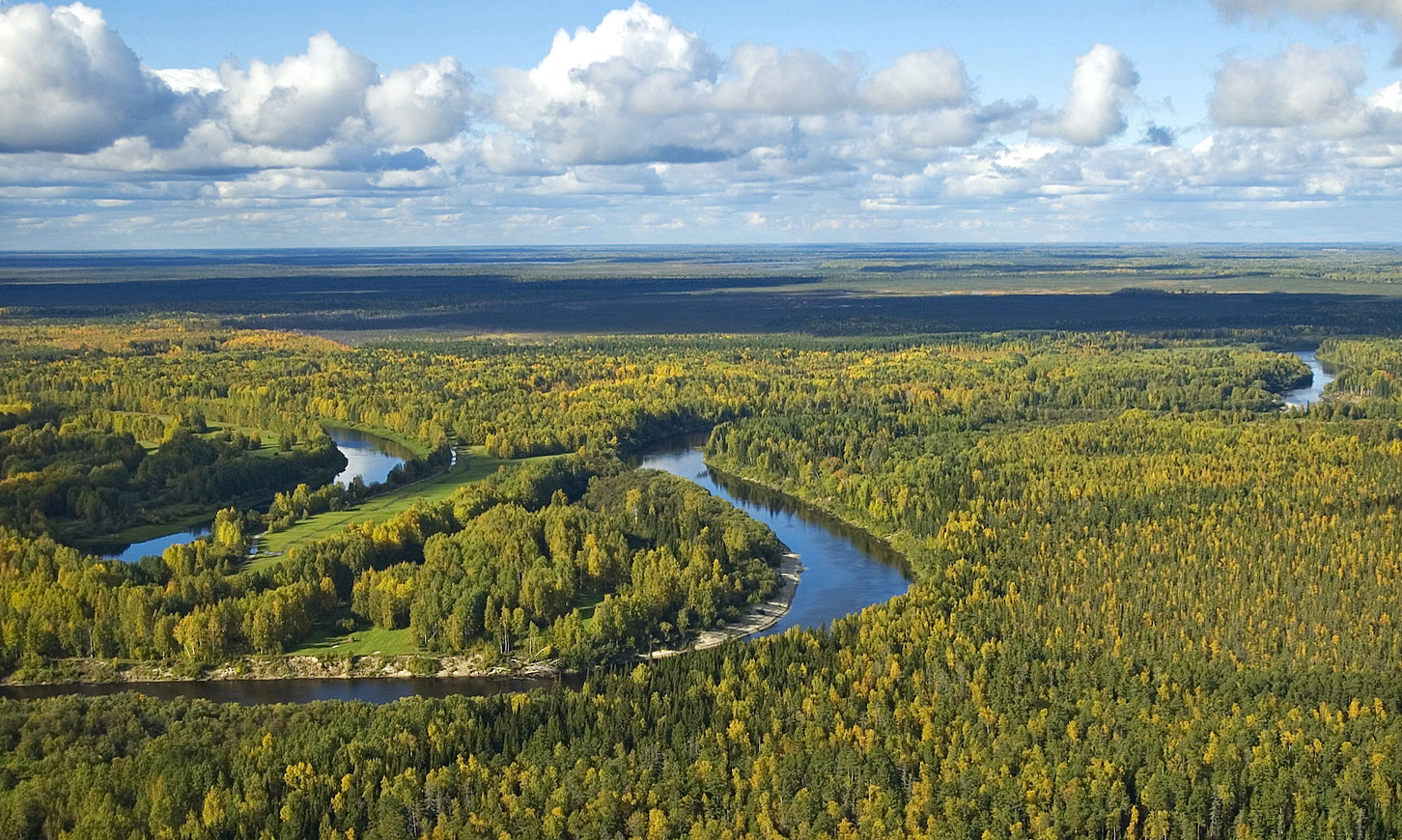 Siberia: si scioglie il permafrost e riemergono i batteri dormienti