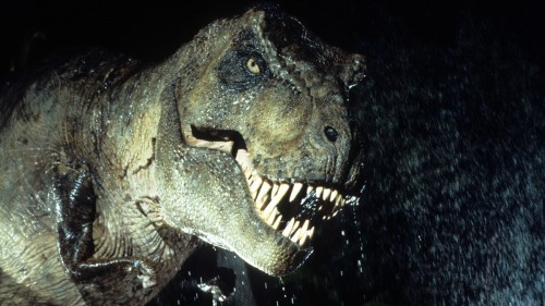 Teschio di Tirannosauro riemerge in Montana: l’incredibile scoperta
