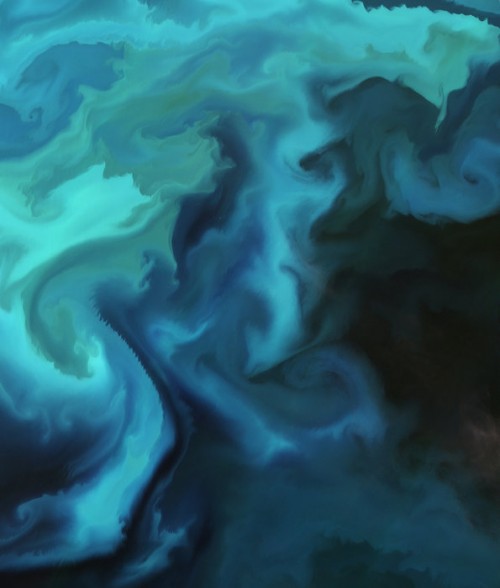 Plancton: l’incredibile colore ‘acquerello’ del Mare di Barents