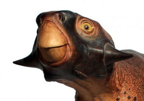Psittacosaurus: ricostruito il dinosauro più ‘buffo’ della Preistoria