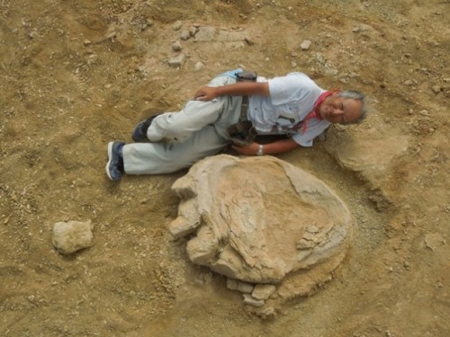 Impronta da record scoperta nel Deserto del Gobi: è di un titanosauro