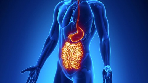 Malattia di Crohn: i sintomi di una patologia sempre più diffusa