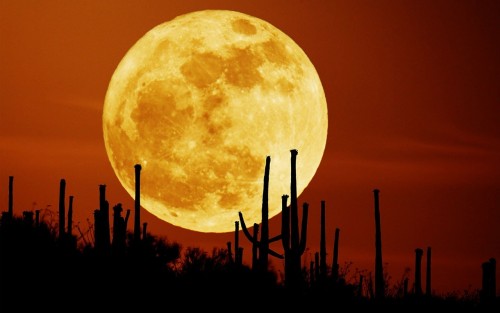 Superluna, si avvicina lo spettacolo: a che ora si vedrà?