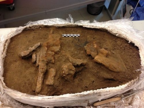 Archeologia: riaperta cassa degli attrezzi vichinga