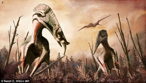 Paleontologia: in Romania i resti di un terrificante pterosauro volante