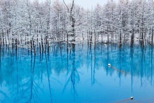 Giappone: il Blue Pond, il lago che cambia continuamente colore