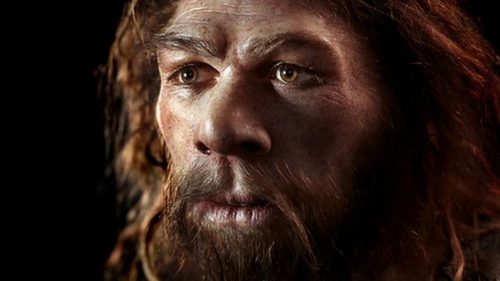 Preistoria: ecco come l’uomo di Neanderthal decorava le grotte