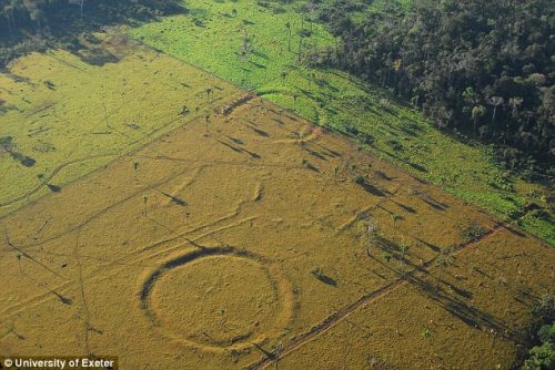 Amazzonia: la deforestazione rivela antichi geoglifi sul terreno