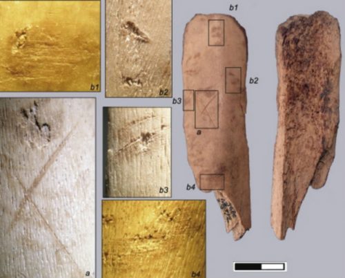 Spagna: scoperte tracce di cannibalismo in una grotta preistorica