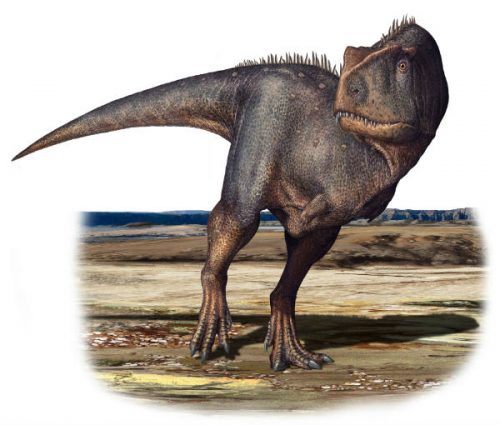 Abruzzo: scoperta enorme impronta di dinosauro