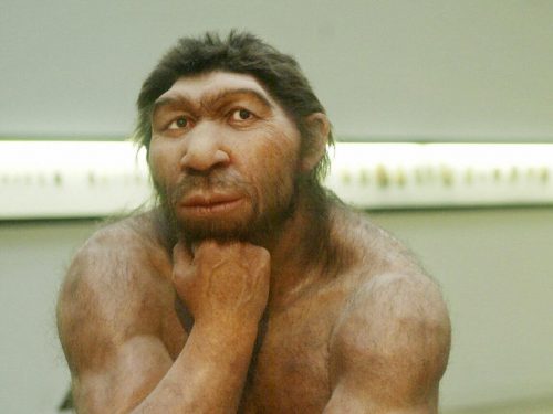 Aspirina e antibiotici: i Neanderthal ne conoscevano gli effetti