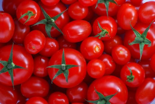 Pomodori: gli effetti sulla salute in una nuova ricerca