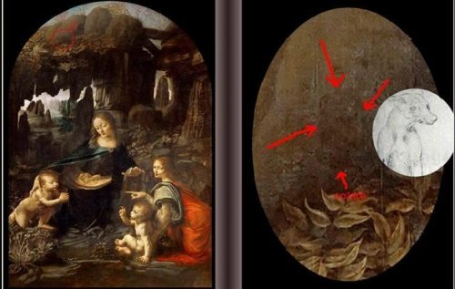 Un cane nella Vergine delle Rocce di Leonardo, la scoperta