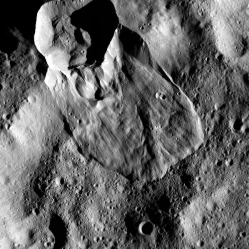 cerere-e1492612497807-1.jpg