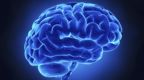 intelligenza-e1491033557188-1.jpg