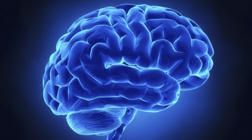Intelligenza: ecco 10 ”sintomi” di un QI superiore alla media
