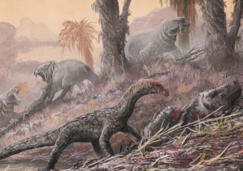 Paleontologia: scoperto rettile antenato dei dinosauri