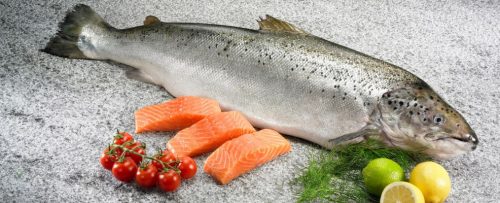 Fresco salmone Norvegese, ideale per tutta la famiglia: gradito da grandi e piccini