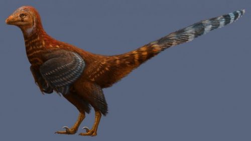 Dinosauro con le piume di uccello scoperto in Cina