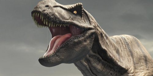 New York: venduto all’asta lo scheletro di un dinosauro di 76 milioni di anni