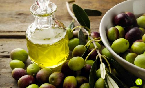 Olio di oliva, i migliori in Italia: in Puglia e Cilento ottime produzioni