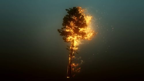 incendi-e1497693644556-1.jpg