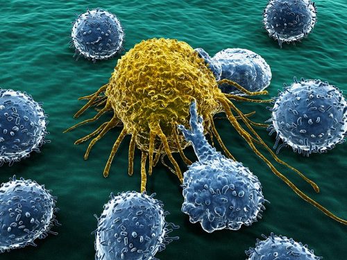 Tumori: scoperto l’interruttore che blocca lo sviluppo del cancro