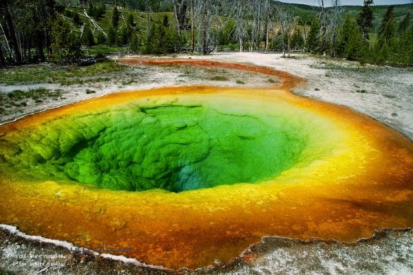 Yellowstone: 878 scosse in due settimane, eruzione in arrivo?