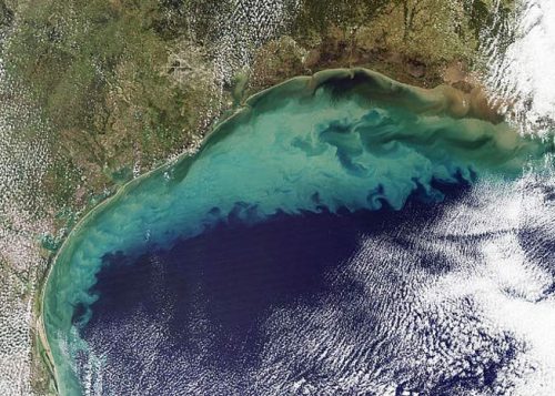 Golfo del Messico: crescita record per la zona morta