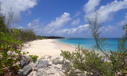 Natura: torna la vita sull’atollo di Bikini