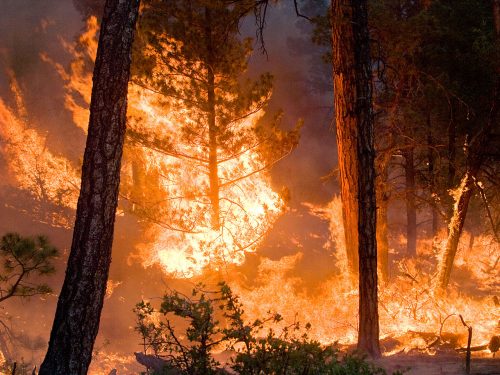 Vasto incendio in Valle Imagna, bruciati molti ettari di bosco