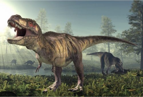 I Tirannosauri erano lenti: la ricerca dell’Università di Manchester