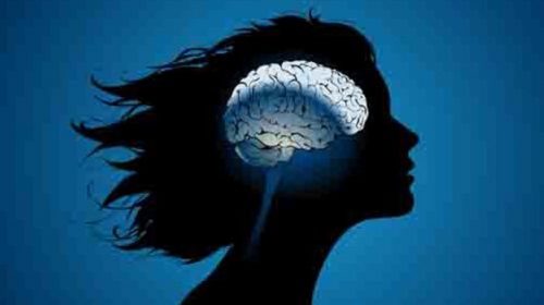 Il cervello delle donne è ‘più attivo’ rispetto a quello degli uomini