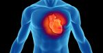 La malattia del cuore ‘stanco’ può manifestarsi per effetto di mutazioni genetiche separate