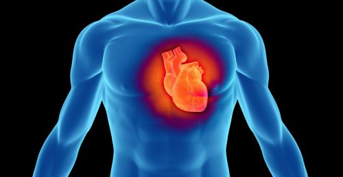 Salute: i nemici del cuore sono i carboidrati, non i grassi