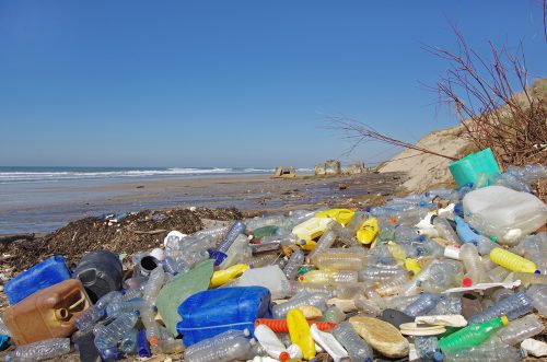 degradare-la-plastica-e1501862075575-1.jpg
