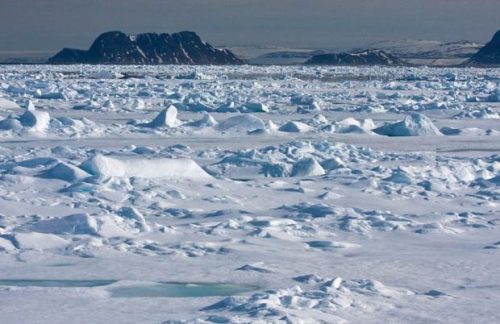 Scioglimento dei ghiacci: fitoplancton limita i danni del riscaldamento globale