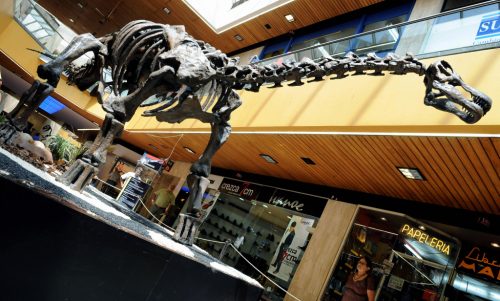 Patagotitan mayorum: il dinosauro più grande mai scoperto