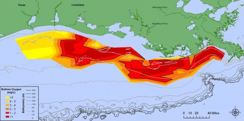 Usa: la ”Zona Morta” nel Golfo del Messico è fuori controllo
