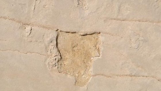 Creta: le antichissime impronte sono state rubate