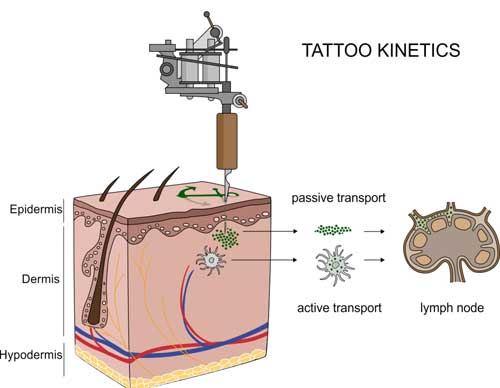 Salute: i tatuaggi rilasciano nanoparticelle che viaggiano nel sangue