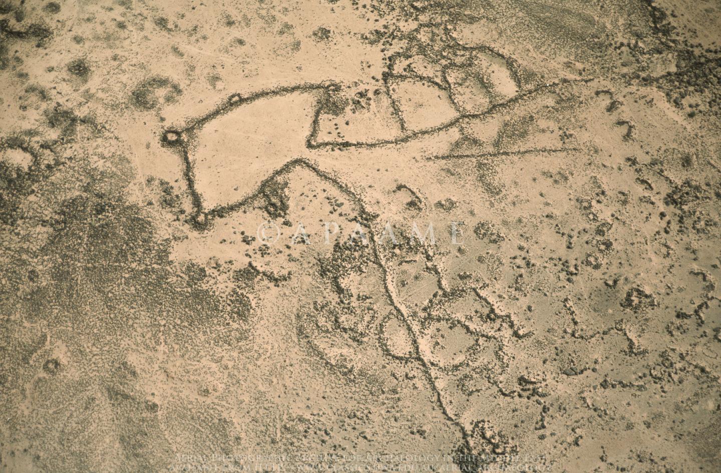 arabia