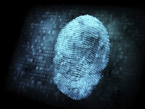 Le impronte digitali non sono uniche, la ricerca sconfessa un mito