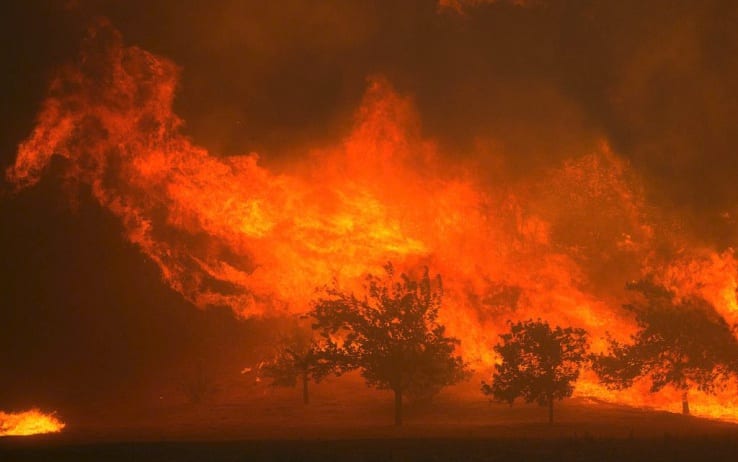Incendi in California: previsti venti forti, rischio nuovi focolai