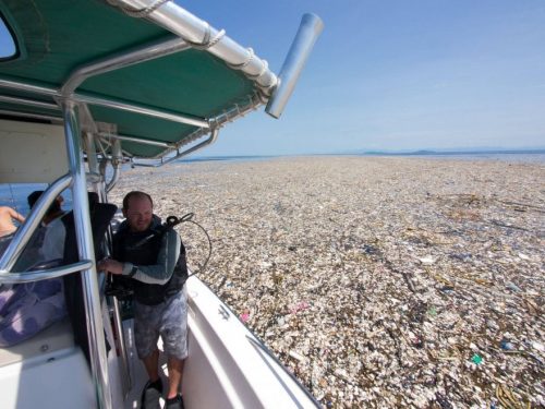 Caraibi: scoperta enorme isola di plastica, le immagini shock