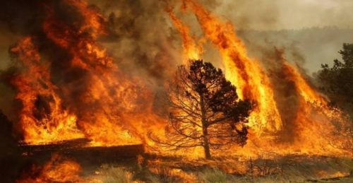 Ophelia alimenta gli incendi, 27 morti in Portogallo. Paura in Irlanda