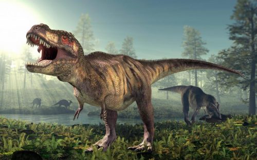 Terrificante dinosauro carnivoro scoperto in Africa, il Kayentapus ambrokholohali