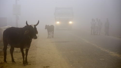 Smog: respirare a New Delhi equivale a fumare 45 sigarette